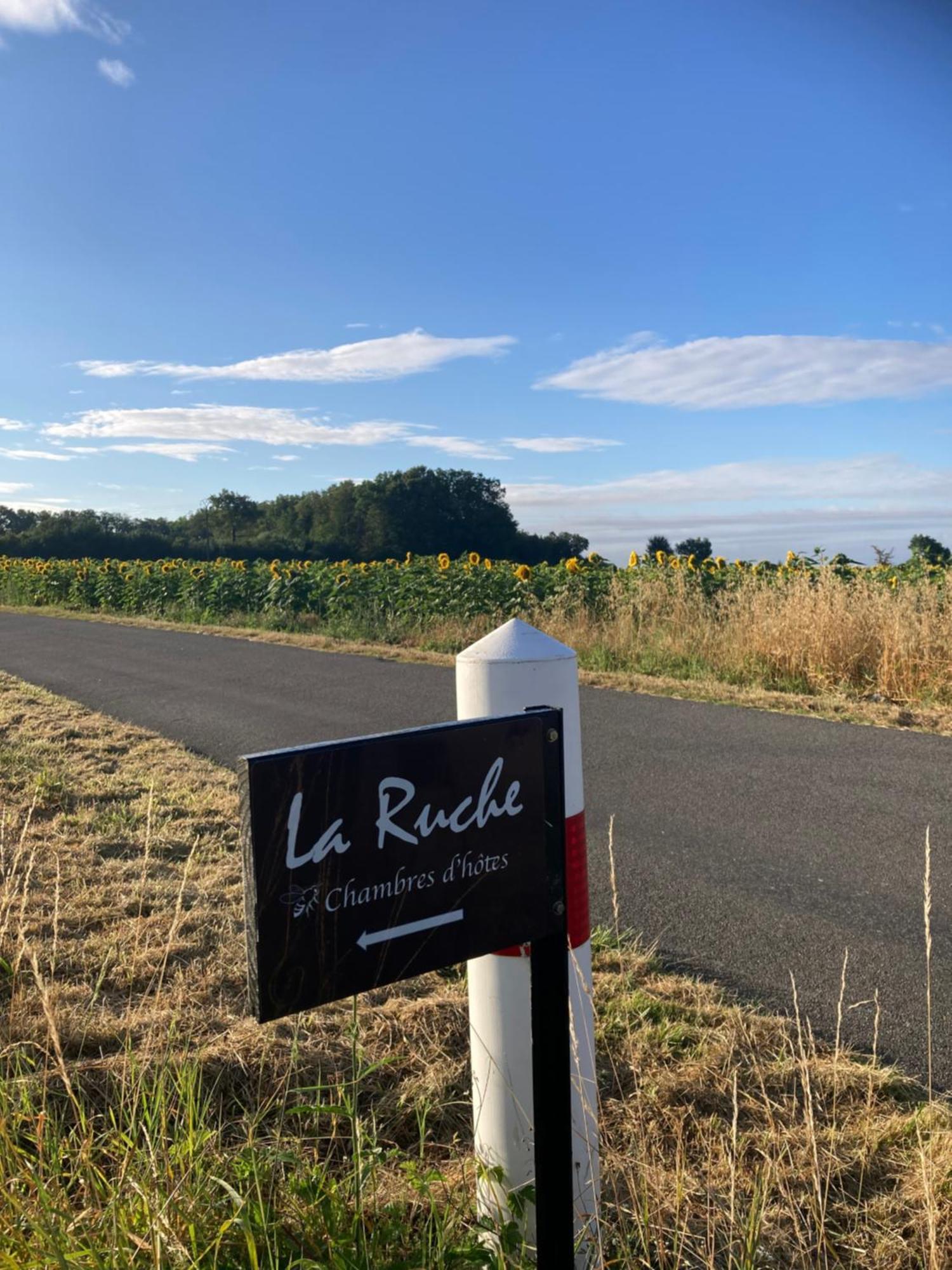 La Ruche Bed & Breakfast Paizay-Naudouin-Embourie Bagian luar foto